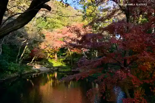 鶴岡八幡宮の庭園