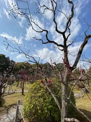 隨心院（随心院）の自然