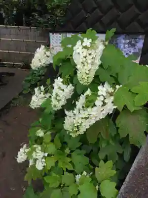 白山神社(神奈川県)