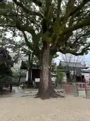 伝香寺(奈良県)