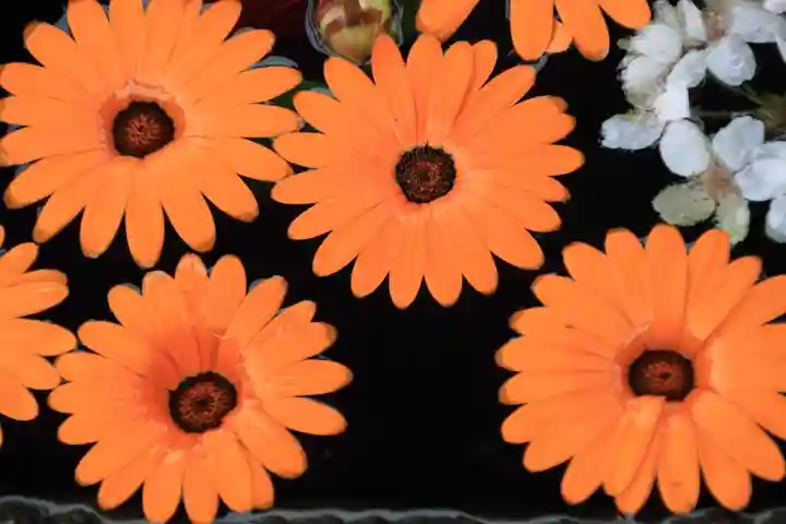 大鏑神社の手水舎