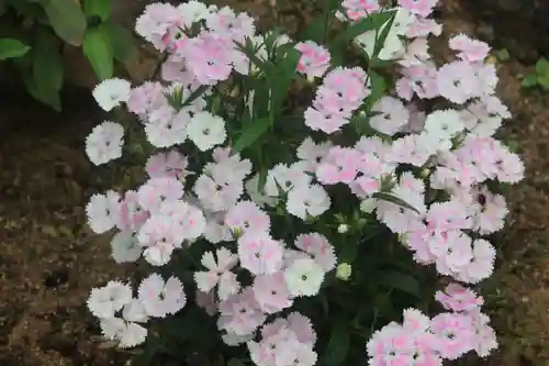 大鏑神社の庭園