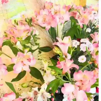 彌彦神社　(伊夜日子神社)の手水舎