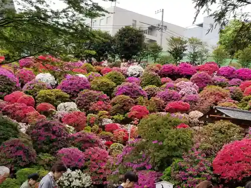 根津神社の庭園