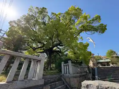 忌宮神社(山口県)