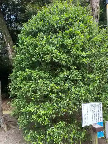 息栖神社(茨城県)