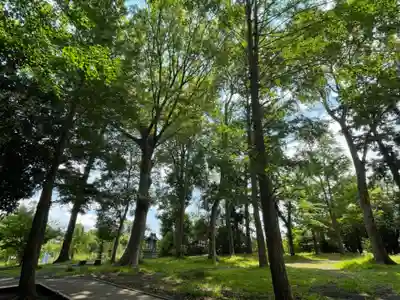 菅原神社(東京都)