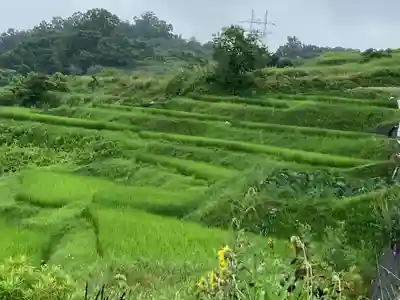 長楽寺(長野県)