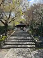 安楽寺(京都府)