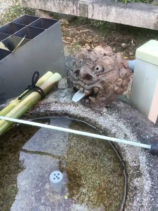 成蓮院の手水舎