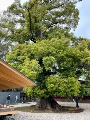 栄誉権現社(東京都)