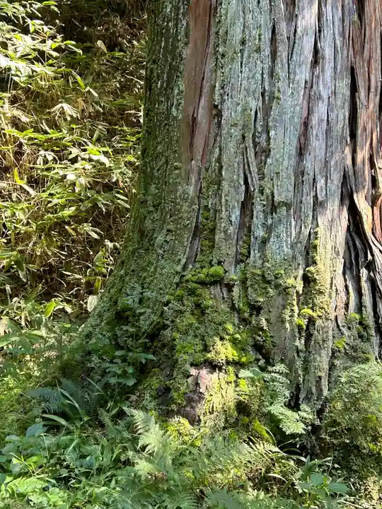 仁科神明宮(長野県)