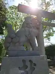 大國魂神社(東京都)