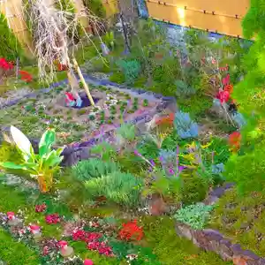 寿量山 速成寺(奈良県)(2023年11月19日(日) 19時49分05秒投稿)