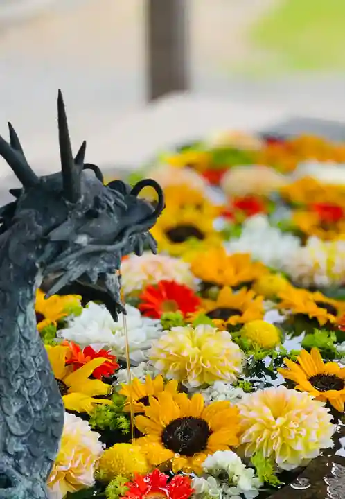 守りの神 藤基神社の手水舎