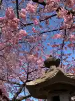 鏡神社の{uncategorized: "未分類", other: "その他", undefined: "問題あり", building: "その他建物", grave: "お墓", sacred_gate: "鳥居", guardian: "狛犬", statue: "像", buddha: "仏像", history: "歴史", nature: "自然", garden: "庭園", animal: "動物", pagoda: "塔", temizu: "手水舎", mountain_gate: "山門・神門", sanctuary: "本殿・本堂", subordinate: "末社・摂社", art: "芸術", scenery: "景色", jizo: "地蔵", ema: "絵馬", goshuin: "御朱印", omikuji: "おみくじ", items: "授与品その他", amulet: "お守り", goshuincho: "御朱印帳", eats: "食事", festival: "お祭り", votive_dance: "神楽", shichigosan: "七五三参", wedding: "結婚式", experience: "体験その他", initially: "初詣", around: "周辺", anti_infection: "感染症対策"}