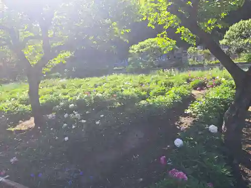 龍寳寺（龍宝寺）(神奈川県)