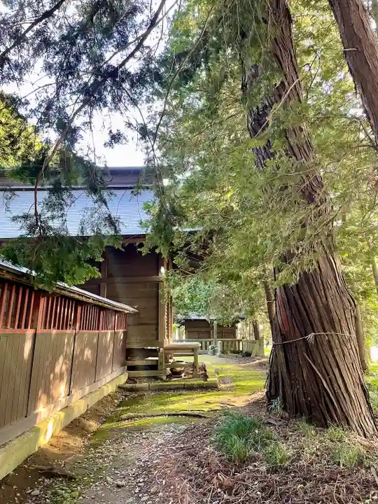 吉田八幡宮(栃木県)
