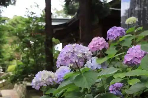 豊景神社の庭園