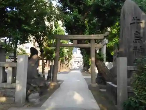 牛嶋神社の鳥居