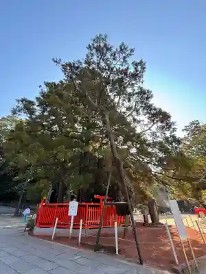 香椎宮の{uncategorized: "未分類", other: "その他", undefined: "問題あり", building: "その他建物", grave: "お墓", sacred_gate: "鳥居", guardian: "狛犬", statue: "像", buddha: "仏像", history: "歴史", nature: "自然", garden: "庭園", animal: "動物", pagoda: "塔", temizu: "手水舎", mountain_gate: "山門・神門", sanctuary: "本殿・本堂", subordinate: "末社・摂社", art: "芸術", scenery: "景色", jizo: "地蔵", ema: "絵馬", goshuin: "御朱印", omikuji: "おみくじ", items: "授与品その他", amulet: "お守り", goshuincho: "御朱印帳", eats: "食事", festival: "お祭り", votive_dance: "神楽", shichigosan: "七五三参", wedding: "結婚式", experience: "体験その他", initially: "初詣", around: "周辺", anti_infection: "感染症対策"}