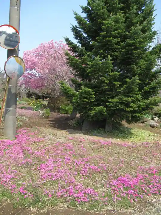 真光寺(千葉県)