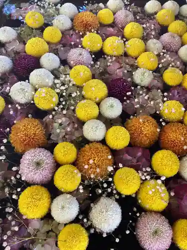 上野総社神社の手水舎