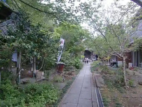 泉蔵院(愛知県)