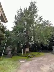 生目神社(宮崎県)