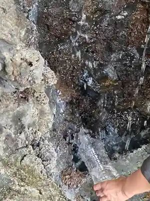 淺間神社（忍野八海）の自然