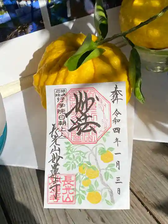 妙蓮寺の御朱印