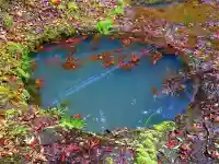 岩坪明神のその他建物