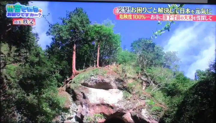 観音院(埼玉県)