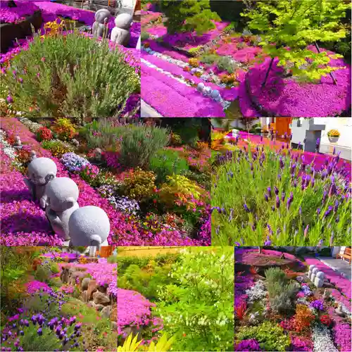 寿量山　速成寺(奈良県)