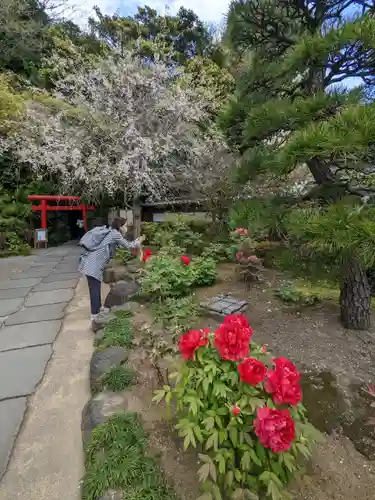 長谷寺の庭園