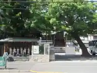 観智院(東京都)