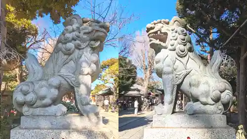 菊田神社の狛犬