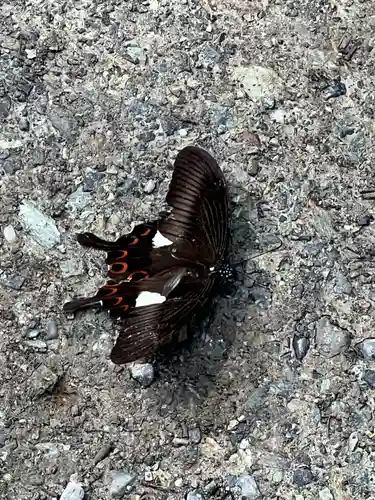 宝登山神社奥宮(埼玉県)