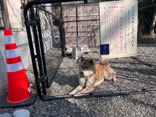 鶴峯八幡宮(千葉県)