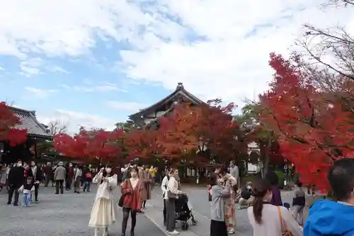 禅林寺（永観堂）(京都府)
