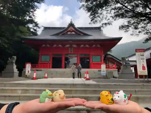 赤城神社のおみくじ