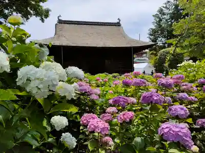 性海寺の本殿・本堂
