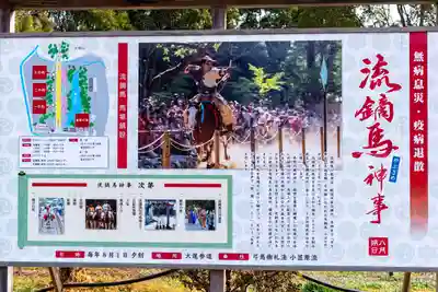 宇佐神宮(大分県)