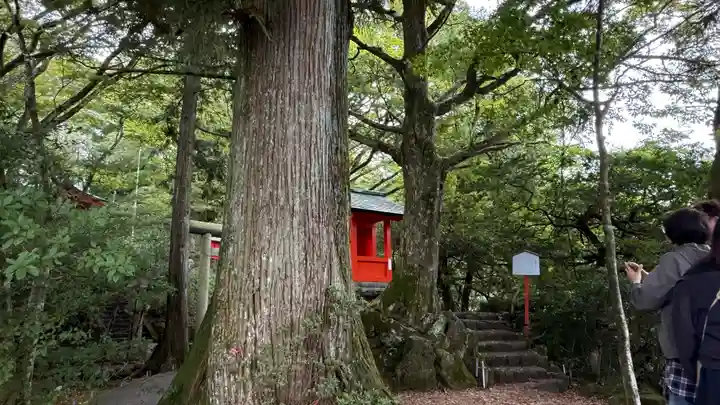 九頭龍神社本宮(神奈川県)