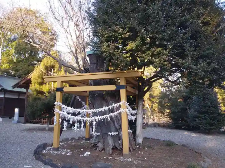 常陸二ノ宮 静神社のその他建物