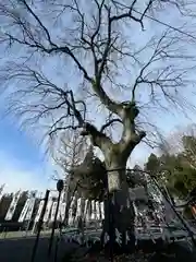 秋保神社(宮城県)