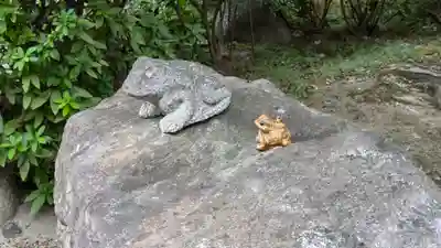 善福寺(京都府)