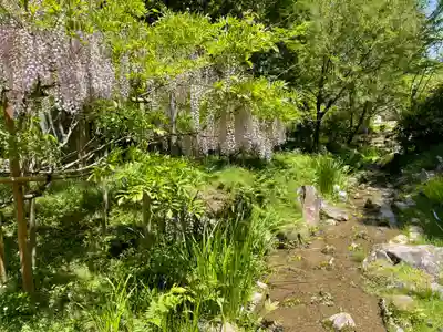 春日大社(奈良県)