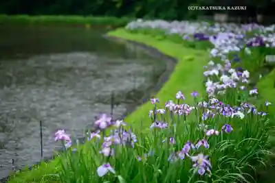 伊勢神宮外宮（豊受大神宮）(三重県)