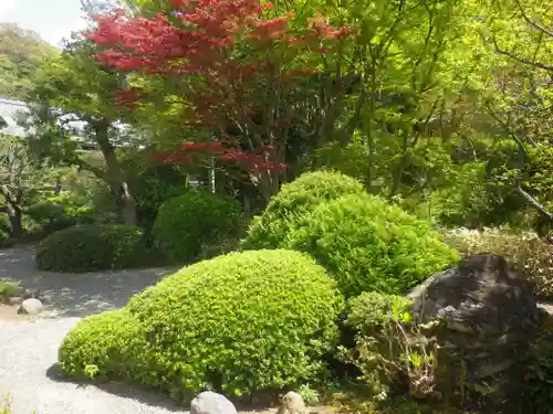 浄妙寺の庭園